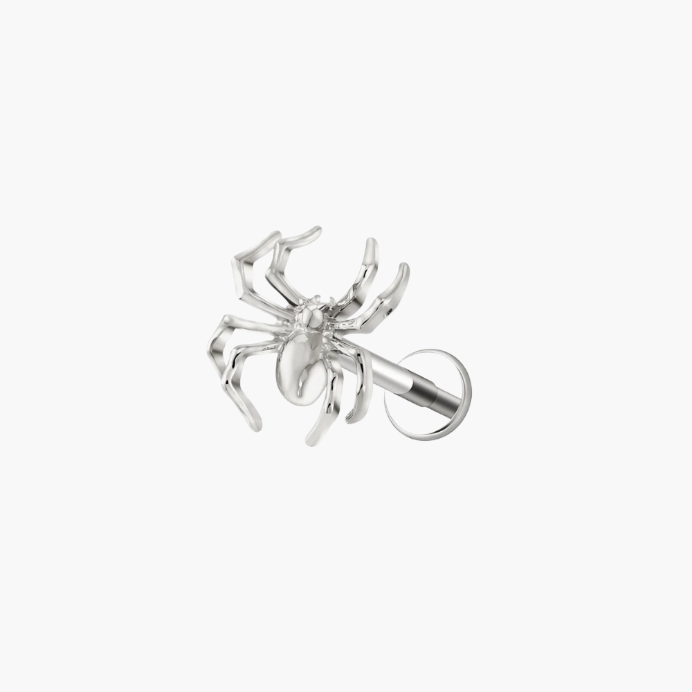 16G Spider Cartilage Earring - Titanium Helix, Conch & Tragus Jewelry