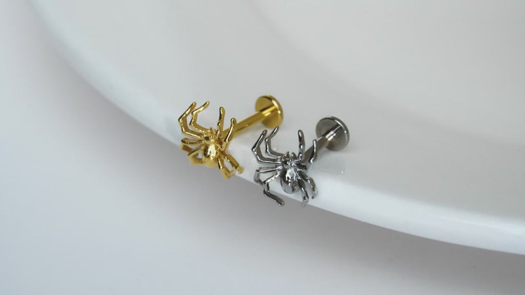 16G Spider Cartilage Earring - Titanium Helix, Conch & Tragus Jewelry